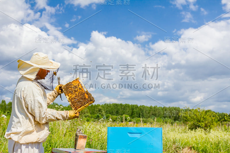 养蜂人，养蜂人拿着蜜蜂的蜂巢