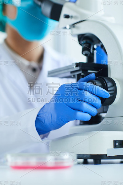 女性研究员使用显微镜