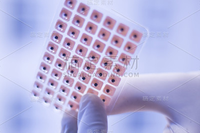 耳穴疗法针灸耳穴种子