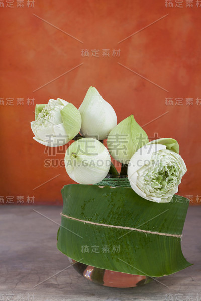 玻璃花瓶中的白莲花
