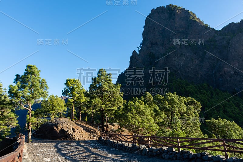 塔布里恩特火山口的风景与绿色的松林，峡谷和岩石山附近的观点Cumbrecita，拉帕尔马，加那利群岛