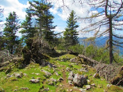 明亮的山草地