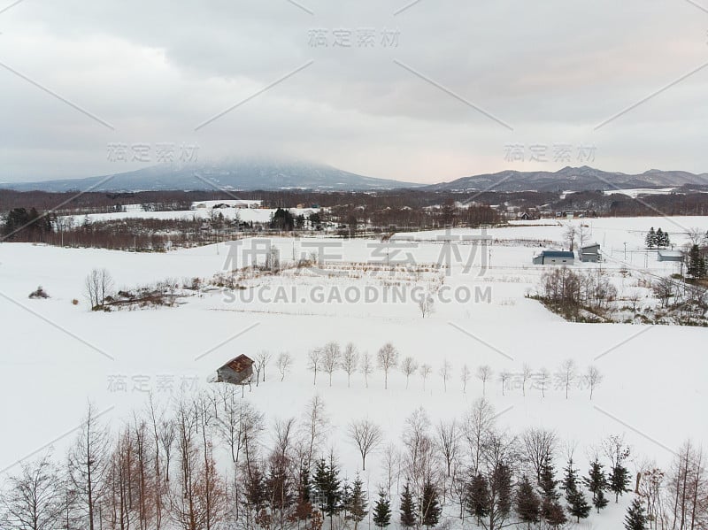 冬天的风景照片，雪覆盖的田野和村舍与光秃秃的树木在前景和雄伟的Yotei山在背景