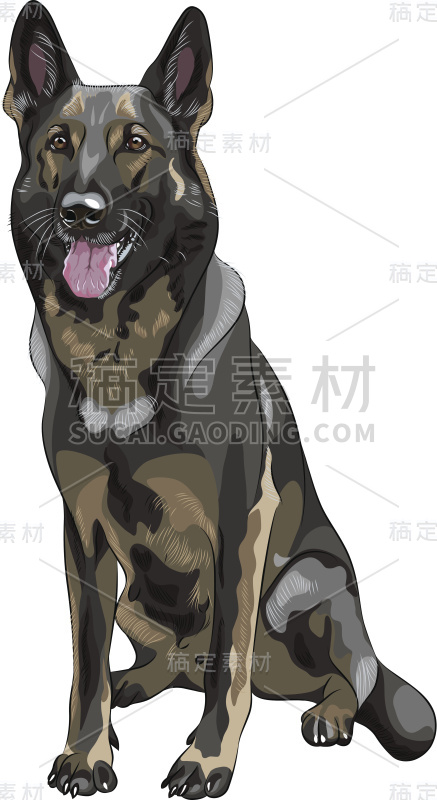 矢量颜色素描黑狗德国牧羊犬品种