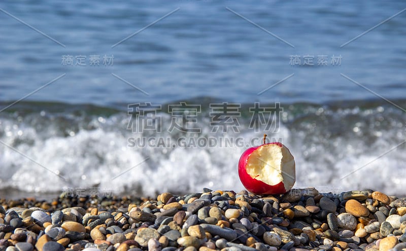 被咬红的苹果在海边的卵石沙滩上。生态旅游和天然有机水果消费。休闲与生态的概念和谐。饮食主要以植物性食