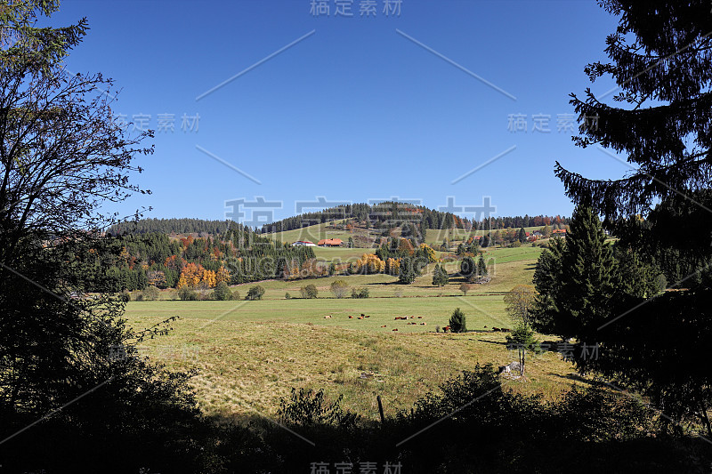 德国奥贝巴赫附近一条可爱的徒步小径，名为“Ibacher Panoramaweg”，展示了德国南部黑