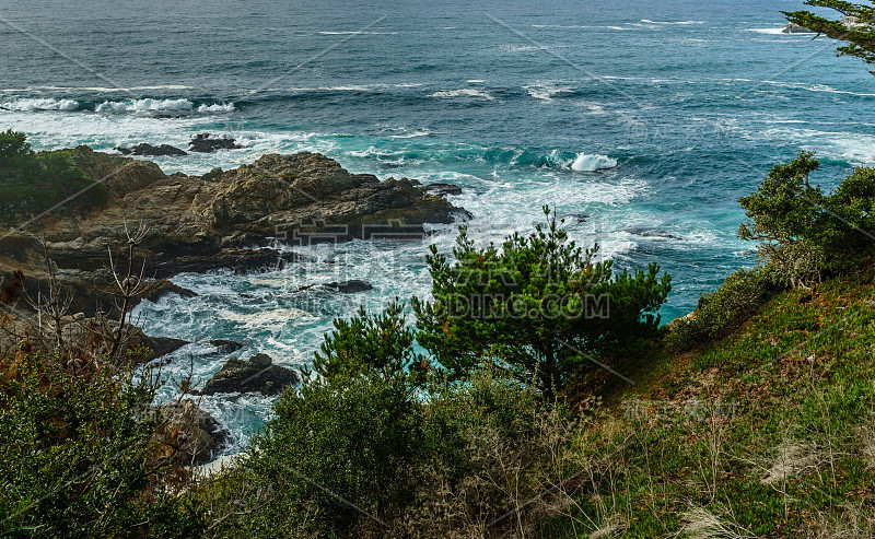 Diverse Beauty Graces the California Coast