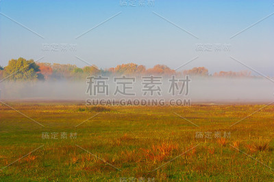 秋天的早晨