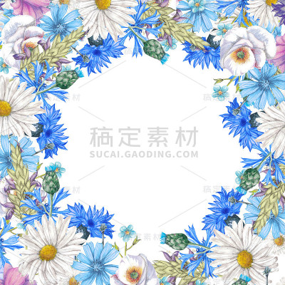 水彩植物横幅