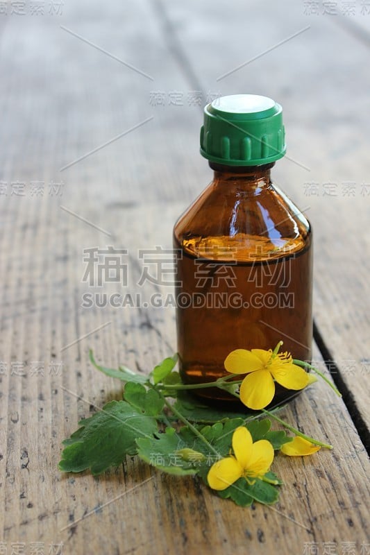 药房玻璃瓶和花白屈菜