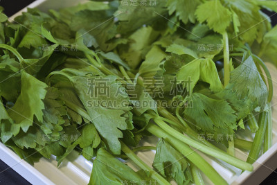沙布沙布