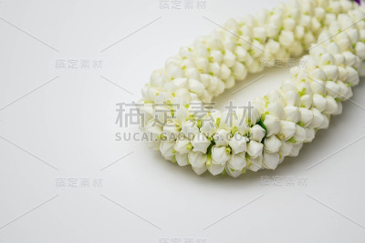 白色背景上的茉莉花花环