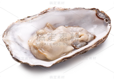 新鲜牡蛎打开。孤立在白色背景上。