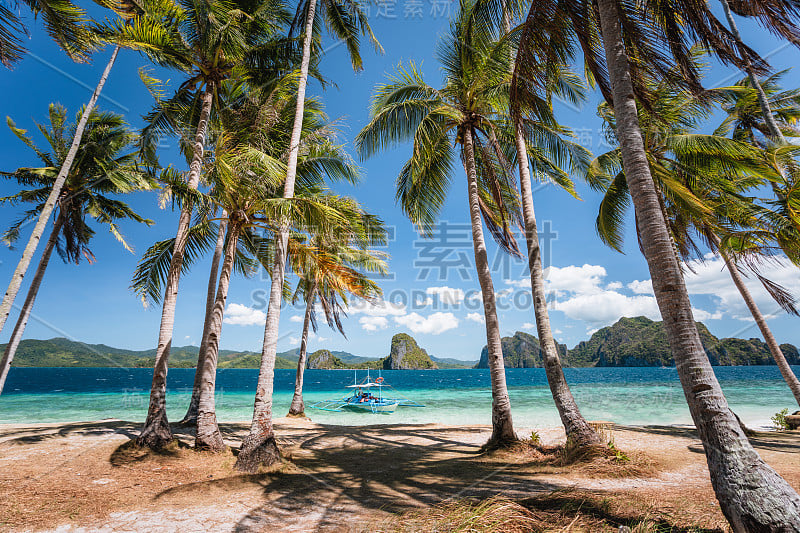 El Nido，巴拉望，菲律宾。沙滩上的棕榈树。菲律宾旅游班卡船在绿松石海洋泻湖。美丽的热带风情跳岛