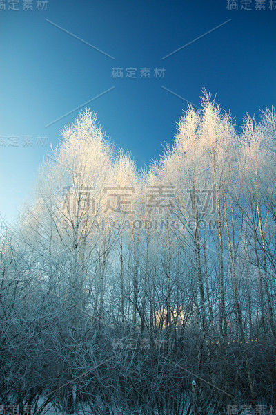 冬天早晨的日出