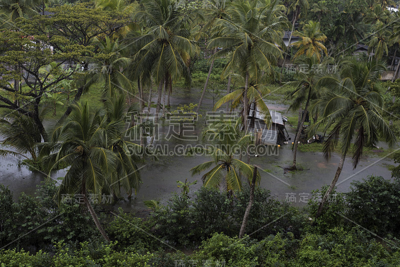 洪水淹没了一小块长着椰子树的土地