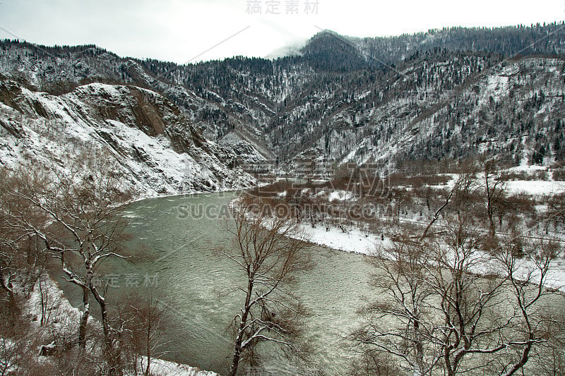 湖与森林在冬季背景