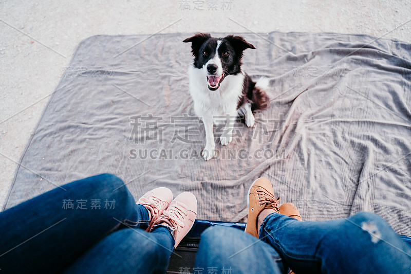 可爱的边境牧羊犬和两个女人的腿放松在一辆货车。旅游的概念