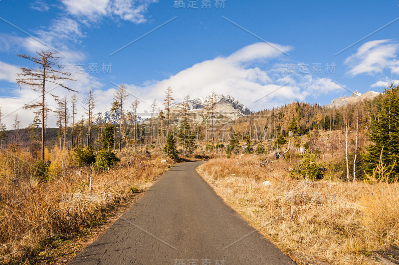 山区柏油路