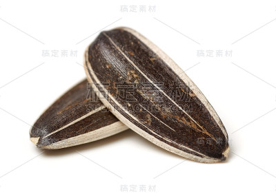 白色背景上有很多葵花籽