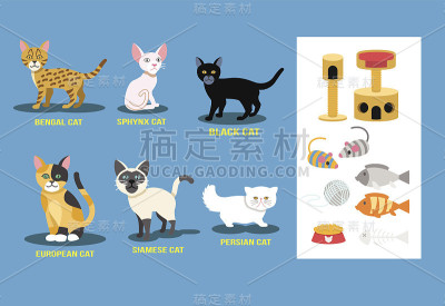 矢量平面猫集