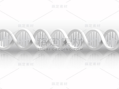 斯特兰德DNA