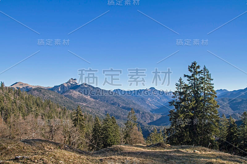 在泰根西阿尔卑斯山