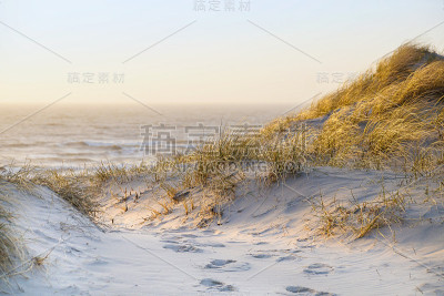 向海