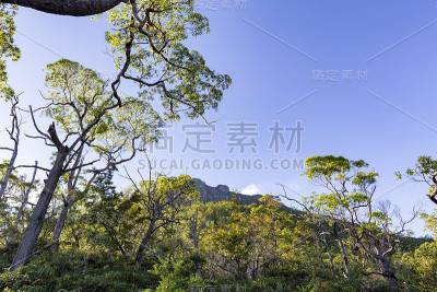 大多山徒步旅行