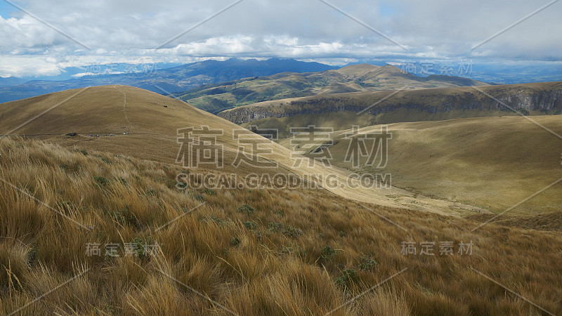 全景的山脉覆盖着pajonales在中间的帕拉莫在厄瓜多尔sierra，以山脉为背景