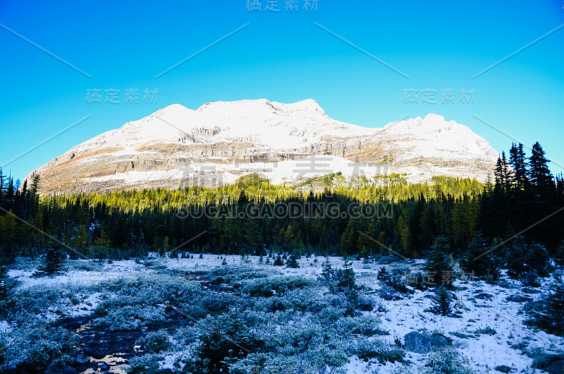 秋天的风景靠近湖奥哈拉，Yoho，加拿大落基山脉