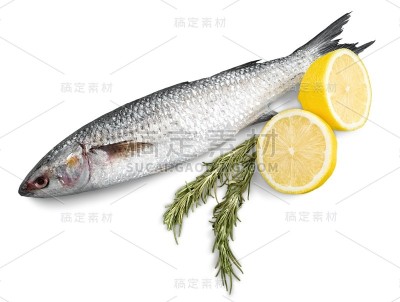 鱼。