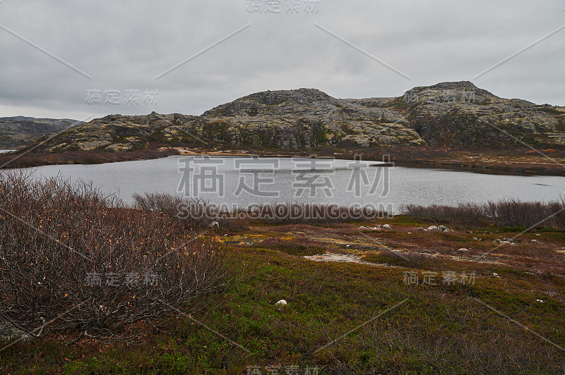 美丽的夏日景观抛弃艺术自然海防北捷里别尔卡，巴伦支海景。