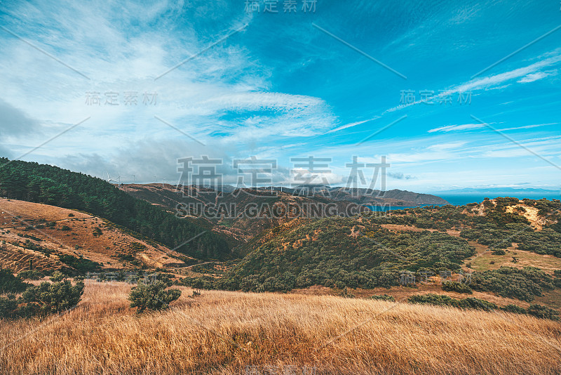 新西兰惠灵顿马卡拉海滩的风景