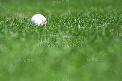 绿草和高尔夫球