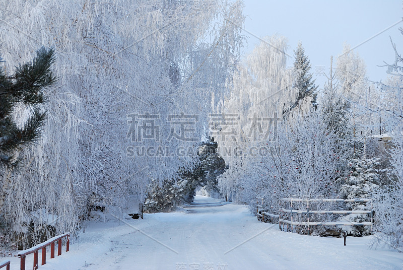 西伯利亚村庄，鄂木斯克地区，俄罗斯