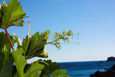 在克里特岛徒步旅行