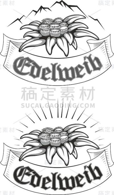 雪绒花(leontopodium)，高山的象征，