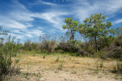 草原，草原，慈善，推翻