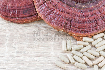灵芝或灵芝胶囊