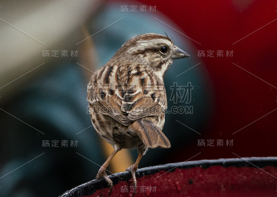 小一个