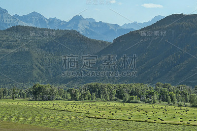 与海 · 贝尔斯的斯内费尔斯