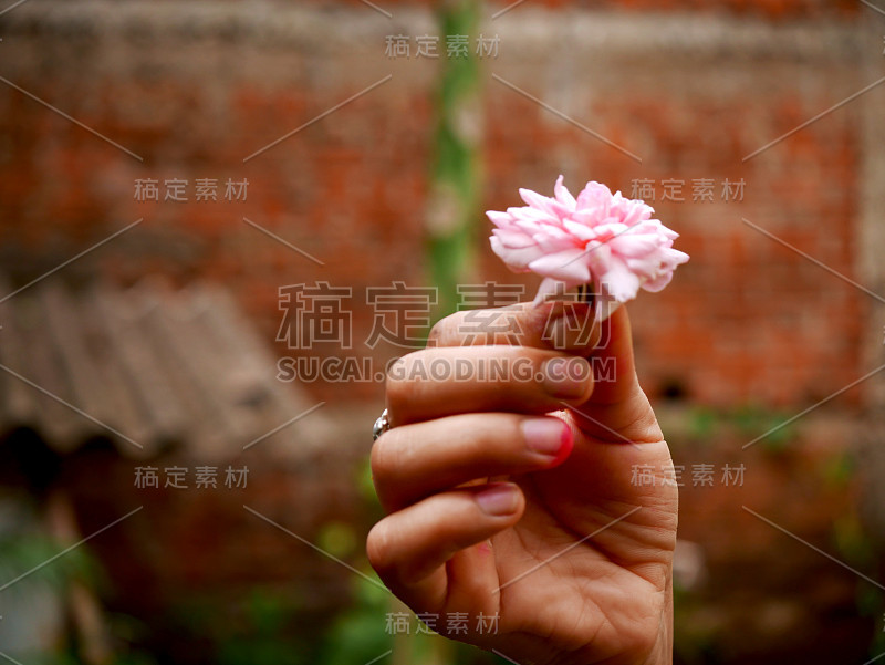 自然的背景，完美的色彩分级