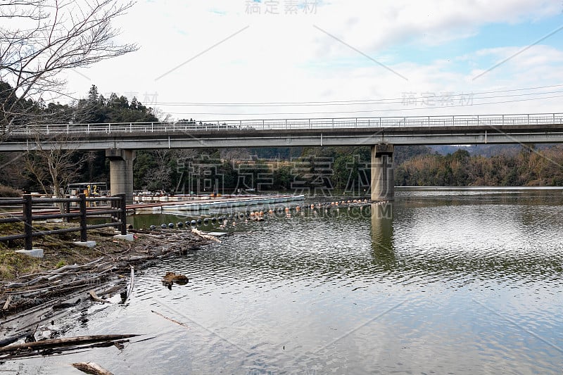 日本千叶县Kimitsu市龟山湖冬季