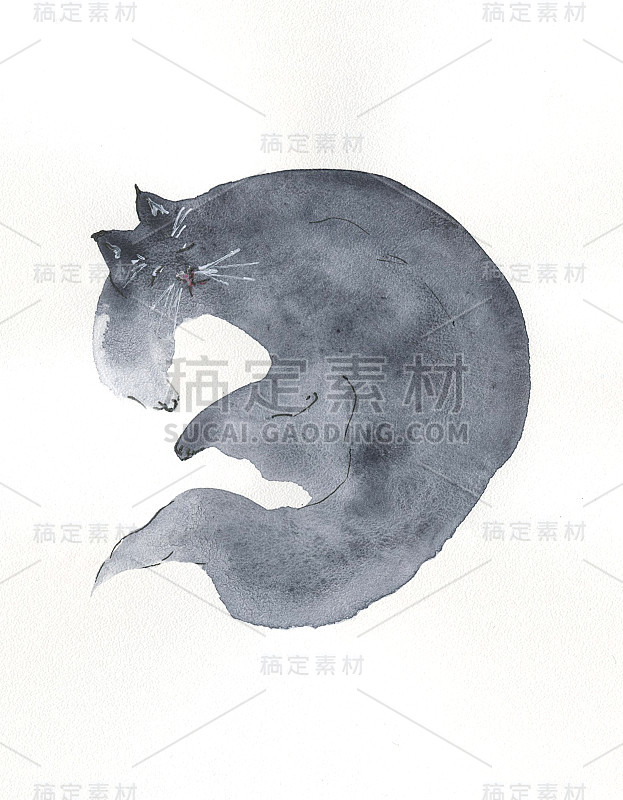 睡猫水彩画