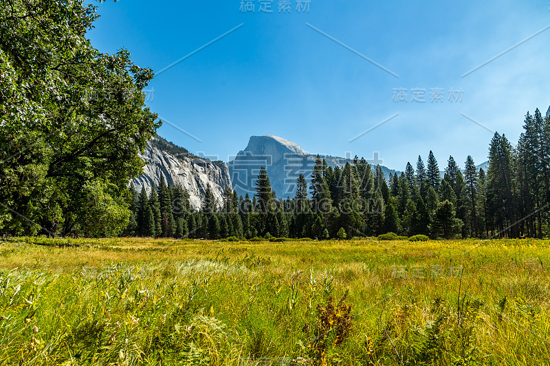 来自厨师牧场的半圆顶