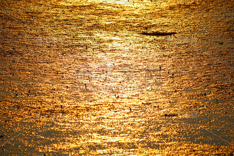 瓦登海在夕阳的辉光中闪耀着金光