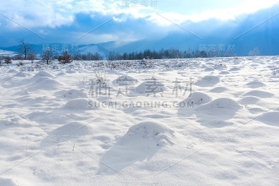 冬天的风景