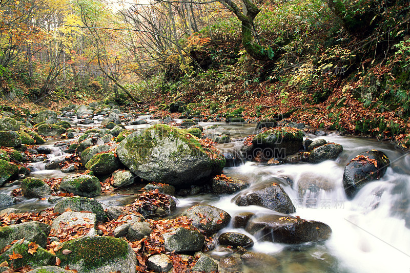 高山流水