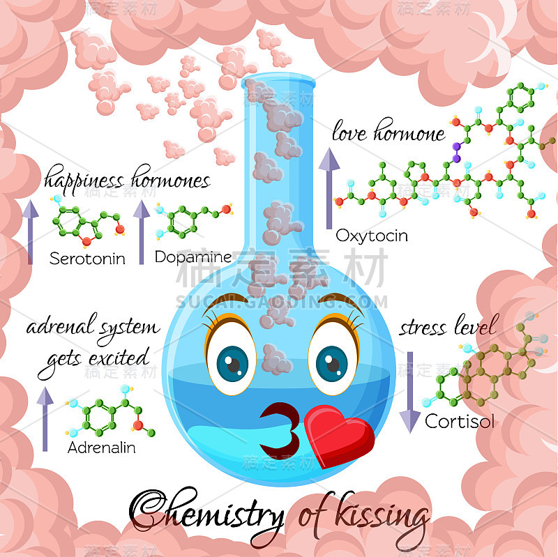 卡通风格的接吻信息图与接吻过程中释放的荷尔蒙有关。